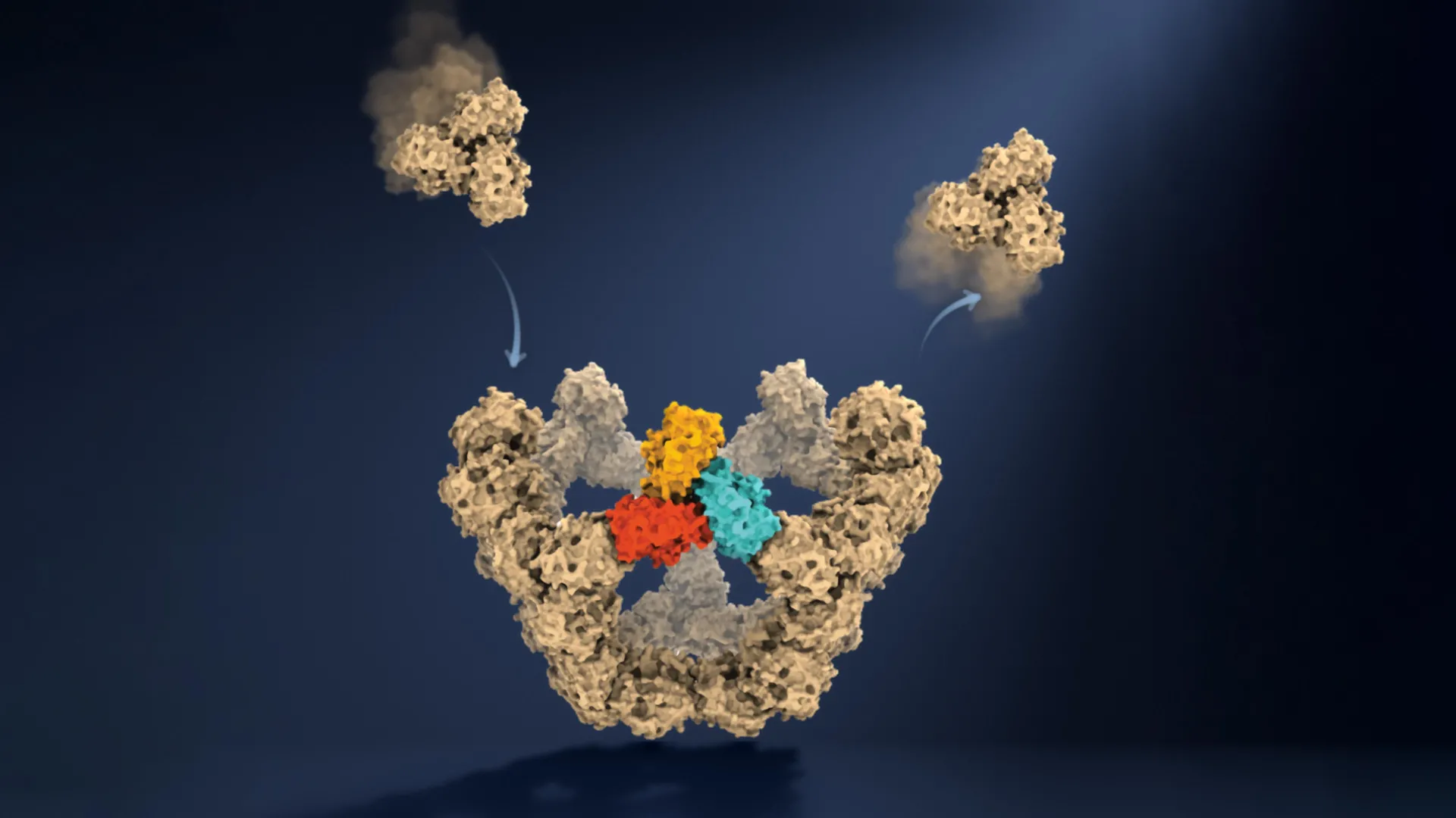 Viruses Build Themselves. Here's How