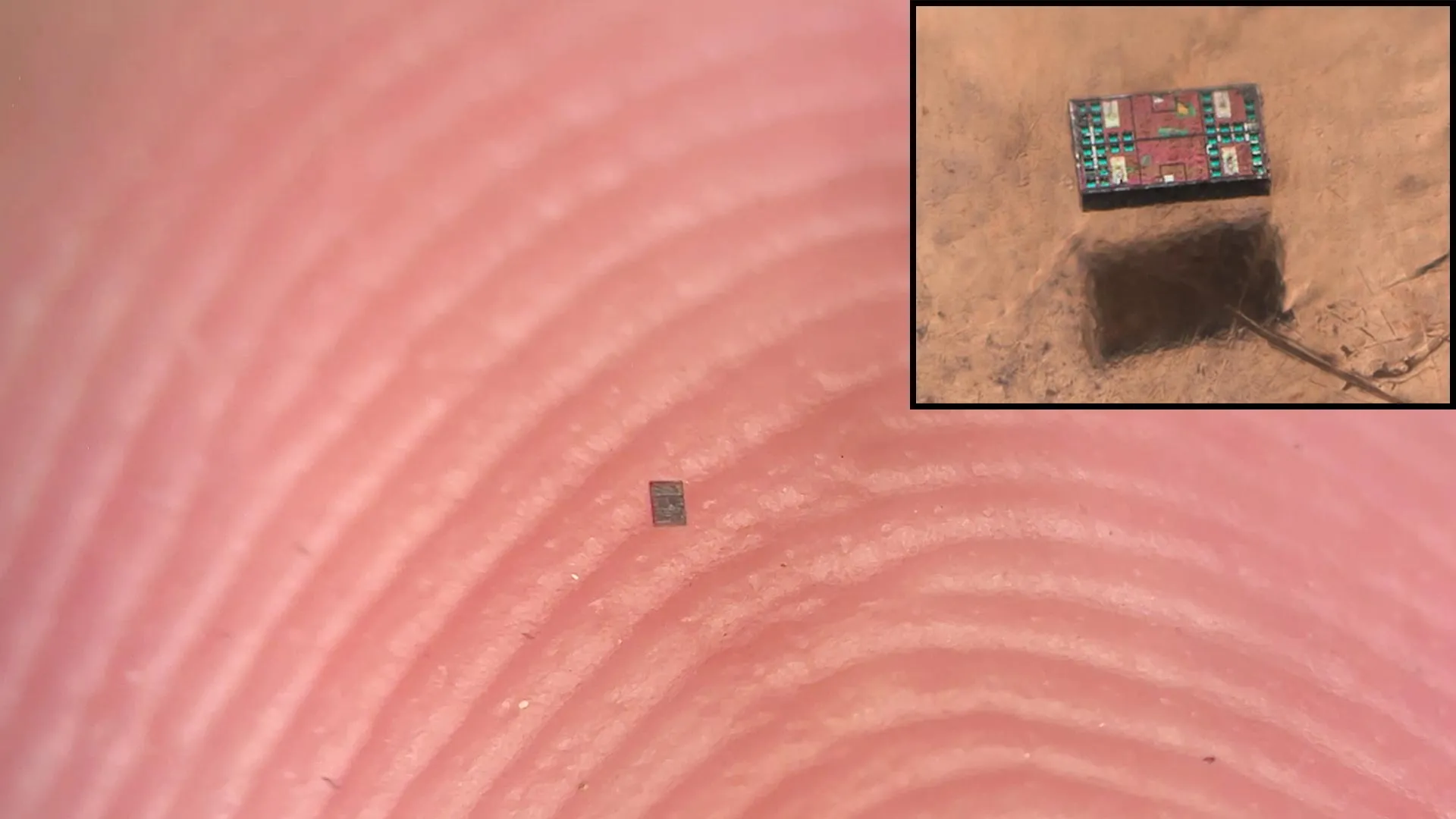 Autonomous Robots Smaller Than a Grain of Salt
