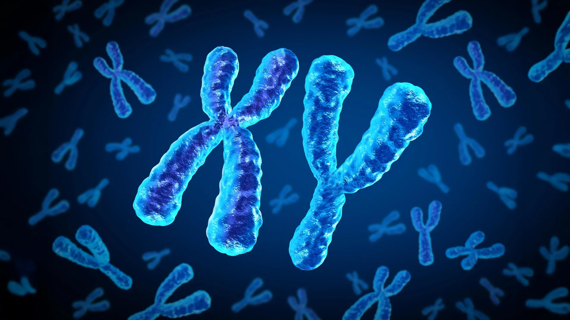 Why Heart Risk in Diabetes Differs for Men